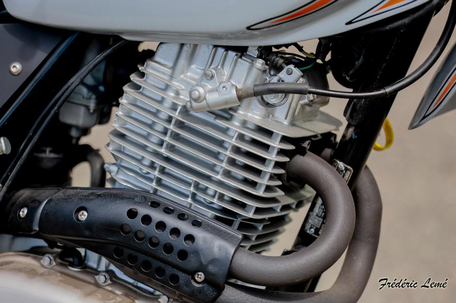 Ms fred moteur 1
